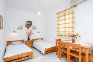 Golden Beach Studios_best deals_Hotel_Cyclades Islands_Paros_Paros Chora