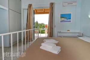 Studio Tasos_holidays_in_Hotel_Ionian Islands_Paxi_Paxi Chora