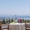 Aloni Hotel_holidays_in_Hotel_Cyclades Islands_Paros_Paros Chora