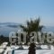 Skiathosub Hotel & Suites_travel_packages_in_Sporades Islands_Skiathos_Troulos