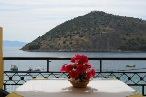 Good Heart_holidays_in_Hotel_Peloponesse_Argolida_Tolo