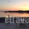 Hotel Irene_holidays_in_Hotel_Cyclades Islands_Paros_Paros Chora