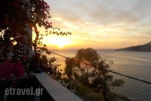 Annas Studios_holidays_in_Hotel_Dodekanessos Islands_Tilos_Tilos Chora