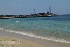 Litsa Studios_best prices_in_Hotel_Cyclades Islands_Naxos_Naxos chora