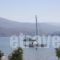 Aura Boutique Hotel_best deals_Hotel_Ionian Islands_Kefalonia_Kefalonia'st Areas