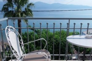 Hotel Plaz_holidays_in_Hotel_Peloponesse_Achaia_Simpolitia