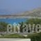 Studios Vangelis_accommodation_in_Hotel_Cyclades Islands_Naxos_Naxos chora