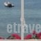 Hotel Irene_lowest prices_in_Hotel_Cyclades Islands_Paros_Paros Chora