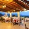 Kavousi Resort_lowest prices_in_Hotel_Crete_Chania_Kissamos