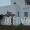 Irida Studios_best deals_Hotel_Cyclades Islands_Naxos_Naxos Chora