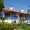 Bungalows Lemoni_accommodation_in_Hotel_Ionian Islands_Lefkada_Lefkada Rest Areas