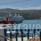 Galaxy Hotel_holidays_in_Hotel_Cyclades Islands_Andros_Gavrio