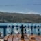 Galaxy Hotel_best deals_Hotel_Cyclades Islands_Andros_Gavrio