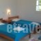 Adriana Studios_holidays_in_Hotel_Cyclades Islands_Antiparos_Antiparos Chora