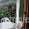 Giannis Studios_lowest prices_in_Hotel_Ionian Islands_Lefkada_Vasiliki