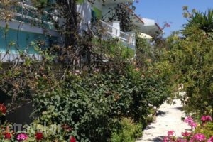 Studios Angela_lowest prices_in_Hotel_Aegean Islands_Samos_Pythagorio