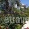 Studios Angela_lowest prices_in_Hotel_Aegean Islands_Samos_Pythagorio