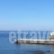 Andros Kamara_lowest prices_in_Hotel_Cyclades Islands_Andros_Andros City