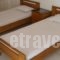 Ankypy Studios_travel_packages_in_Central Greece_Evia_Kymi