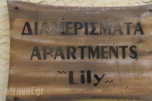 Lilys Apartments_lowest prices_in_Apartment_Crete_Rethymnon_Rethymnon City