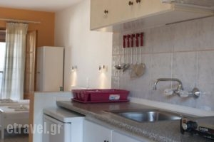 Elena Studios_holidays_in_Hotel_Sporades Islands_Alonnisos_Alonissosora