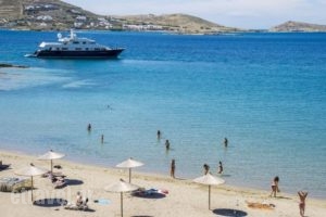 Manis Inn_travel_packages_in_Cyclades Islands_Paros_Paros Chora