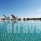 Iliada_best prices_in_Hotel_Cyclades Islands_Mykonos_Elia