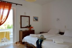 Moscha Studios_best deals_Hotel_Cyclades Islands_Andros_Batsi