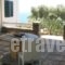 Margarita Home Hotel_accommodation_in_Hotel_Cyclades Islands_Andros_Gavrio