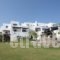 Silver Rocks Hotel_best deals_Hotel_Cyclades Islands_Paros_Paros Chora