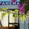 Ipanema Hotel_accommodation_in_Hotel_Dodekanessos Islands_Kos_Kos Rest Areas