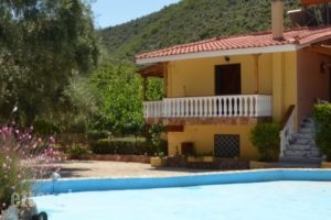 O Petros_lowest prices_in_Hotel_Peloponesse_Arcadia_Kosmas