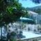 Moscha Studios_travel_packages_in_Cyclades Islands_Andros_Batsi