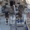 Yacht Charter-Sailing Yacht_best deals_Yacht_Crete_Heraklion_Stalida