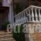 Stella Studios_best deals_Hotel_Sporades Islands_Alonnisos_Patitiri