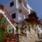 Stella Studios_holidays_in_Hotel_Sporades Islands_Alonnisos_Patitiri