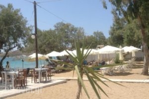 Krios Beach Camping_best prices_in_Hotel_Cyclades Islands_Paros_Paros Chora