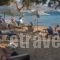 Krios Beach Camping_travel_packages_in_Cyclades Islands_Paros_Paros Chora