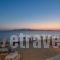 Naxian Althea_holidays_in_Hotel_Cyclades Islands_Naxos_Naxos chora