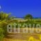 Chrissas Apartments_best deals_Apartment_Crete_Rethymnon_Rethymnon City