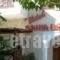 Rania Beach_best deals_Hotel_Aegean Islands_Samos_Ireon