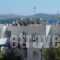 Anna Zisimos_accommodation_in_Hotel_Cyclades Islands_Milos_Milos Chora