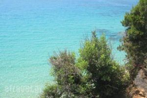 Eleios_lowest prices_in_Hotel_Ionian Islands_Kefalonia_Kefalonia'st Areas