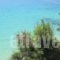 Eleios_lowest prices_in_Hotel_Ionian Islands_Kefalonia_Kefalonia'st Areas