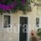 Mouikis Sun Village_accommodation_in_Hotel_Ionian Islands_Kefalonia_Kefalonia'st Areas