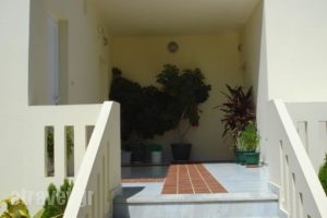 Zinovia_lowest prices_in_Hotel_Crete_Chania_Daratsos