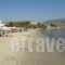 Krios Beach Camping_accommodation_in_Hotel_Cyclades Islands_Paros_Paros Chora