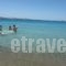 Krios Beach Camping_best deals_Hotel_Cyclades Islands_Paros_Paros Chora