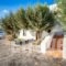 Creta Maris Beach Resort_best deals_Hotel_Crete_Heraklion_Gouves