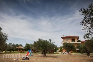 Agroktima Elia_best prices_in_Hotel_Peloponesse_Argolida_Nafplio